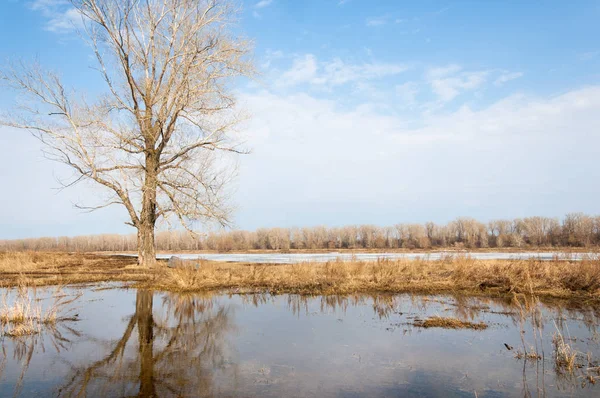 Bahar River, buz Nehri üzerinde. çıplak ağaçlar ve mavi gökyüzünde güzel bulutlar güzel bahar manzara nehir buz ile erimiş