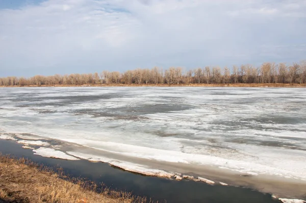 Bahar River, buz Nehri üzerinde. çıplak ağaçlar ve mavi gökyüzünde güzel bulutlar güzel bahar manzara nehir buz ile erimiş