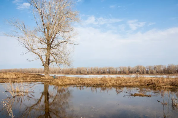 春の川 川の氷 川の氷に美しい春の風景を溶かし裸の木と青い空の美しい雲 — ストック写真