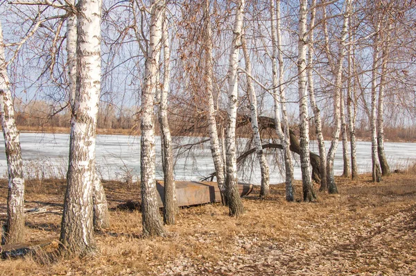 Bahar River, buz Nehri üzerinde. çıplak ağaçlar ve mavi gökyüzünde güzel bulutlar güzel bahar manzara nehir buz ile erimiş