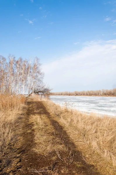Bahar River, buz Nehri üzerinde. çıplak ağaçlar ve mavi gökyüzünde güzel bulutlar güzel bahar manzara nehir buz ile erimiş