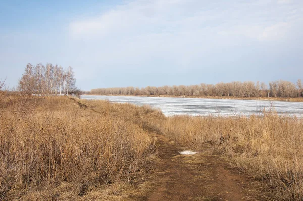 Bahar River, buz Nehri üzerinde. çıplak ağaçlar ve mavi gökyüzünde güzel bulutlar güzel bahar manzara nehir buz ile erimiş