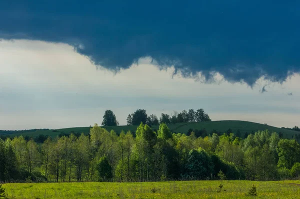 Günbatımında günbatımı, güzel yeşil ağaç bulutlar ile bahar ormandaki bahar.