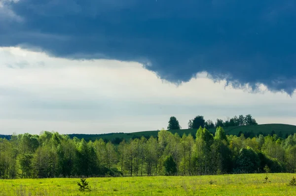 Günbatımında günbatımı, güzel yeşil ağaç bulutlar ile bahar ormandaki bahar.