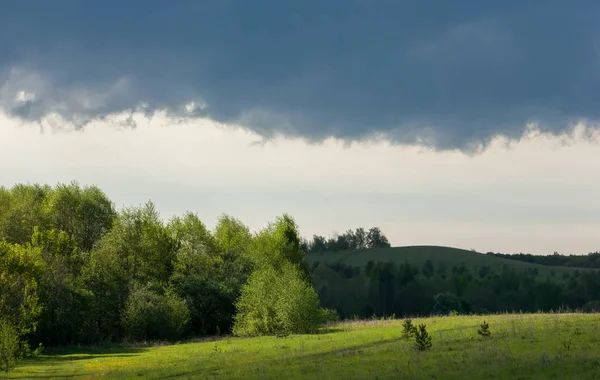 Günbatımında günbatımı, güzel yeşil ağaç bulutlar ile bahar ormandaki bahar.