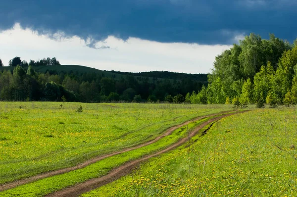 Günbatımında günbatımı, güzel yeşil ağaç bulutlar ile bahar ormandaki bahar.