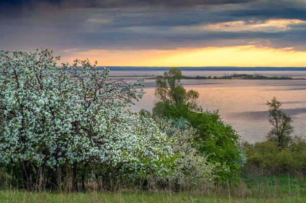 Gün batımı, Güneş doğuyor. Nehir bulut. Dramatik yanan gökyüzü sırasında yaz günbatımı. 