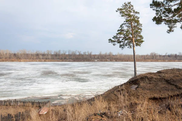 Bahar River, buz Nehri üzerinde. çıplak ağaçlar ve mavi gökyüzünde güzel bulutlar güzel bahar manzara nehir buz ile erimiş