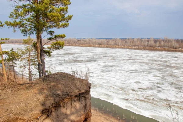 Bahar River, buz Nehri üzerinde. çıplak ağaçlar ve mavi gökyüzünde güzel bulutlar güzel bahar manzara nehir buz ile erimiş