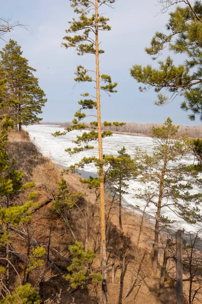 Bahar River, buz Nehri üzerinde. çıplak ağaçlar ve mavi gökyüzünde güzel bulutlar güzel bahar manzara nehir buz ile erimiş