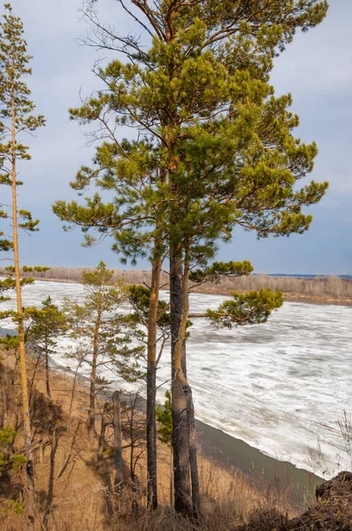 Bahar River, buz Nehri üzerinde. çıplak ağaçlar ve mavi gökyüzünde güzel bulutlar güzel bahar manzara nehir buz ile erimiş