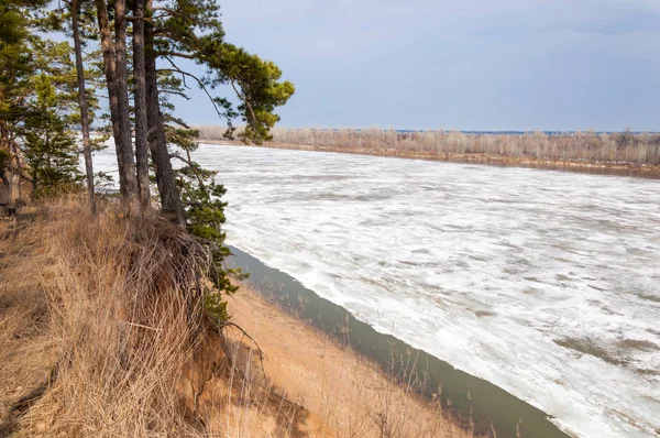 Bahar River, buz Nehri üzerinde. çıplak ağaçlar ve mavi gökyüzünde güzel bulutlar güzel bahar manzara nehir buz ile erimiş