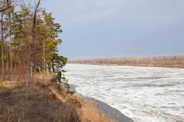 Bahar River, buz Nehri üzerinde. çıplak ağaçlar ve mavi gökyüzünde güzel bulutlar güzel bahar manzara nehir buz ile erimiş