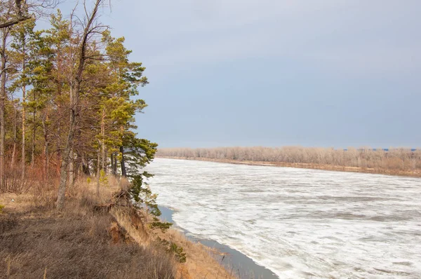 Bahar River, buz Nehri üzerinde. çıplak ağaçlar ve mavi gökyüzünde güzel bulutlar güzel bahar manzara nehir buz ile erimiş