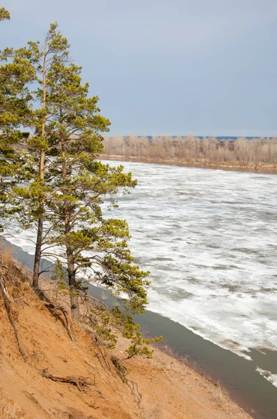 Bahar River, buz Nehri üzerinde. çıplak ağaçlar ve mavi gökyüzünde güzel bulutlar güzel bahar manzara nehir buz ile erimiş