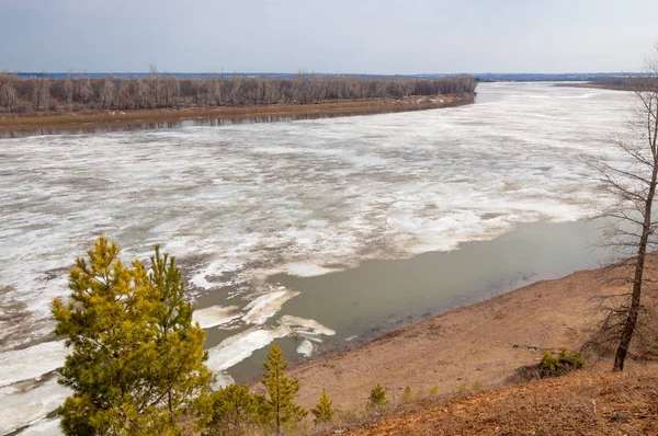 Bahar River, buz Nehri üzerinde. çıplak ağaçlar ve mavi gökyüzünde güzel bulutlar güzel bahar manzara nehir buz ile erimiş