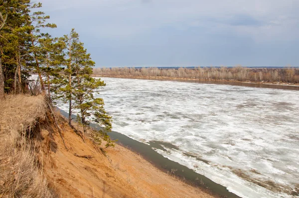 Bahar River, buz Nehri üzerinde. çıplak ağaçlar ve mavi gökyüzünde güzel bulutlar güzel bahar manzara nehir buz ile erimiş