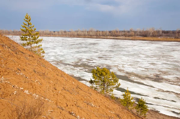 Bahar River, buz Nehri üzerinde. çıplak ağaçlar ve mavi gökyüzünde güzel bulutlar güzel bahar manzara nehir buz ile erimiş