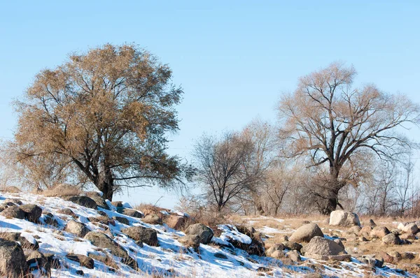  kayalar ve woods, erken Bahar yatay