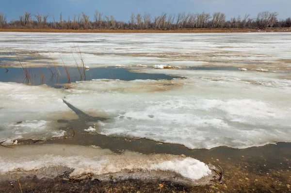 Bahar River, buz Nehri üzerinde. çıplak ağaçlar ve mavi gökyüzünde güzel bulutlar güzel bahar manzara nehir buz ile erimiş