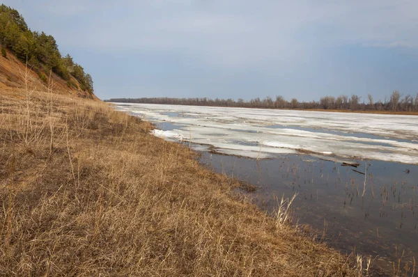 Bahar River, buz Nehri üzerinde. çıplak ağaçlar ve mavi gökyüzünde güzel bulutlar güzel bahar manzara nehir buz ile erimiş
