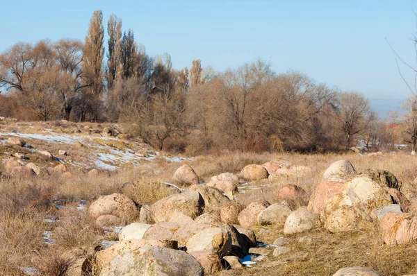  kayalar ve woods, erken Bahar yatay