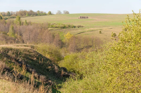 Dağ geçidi ağaç bahar. Toprak erozyonu bahar sezonu. Bahar güneşli bir dağ geçidi boyunca ağaçlar