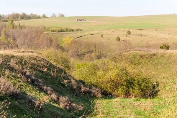 Dağ geçidi ağaç bahar. Toprak erozyonu bahar sezonu. Bahar güneşli bir dağ geçidi boyunca ağaçlar