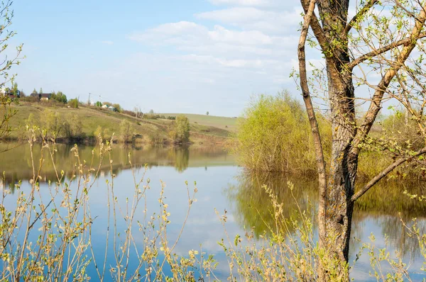 bahar Gölü. Su birikintisi bahar. Bahar park göl. bahar Gölü sahne. Bahar gölün kıyısında.