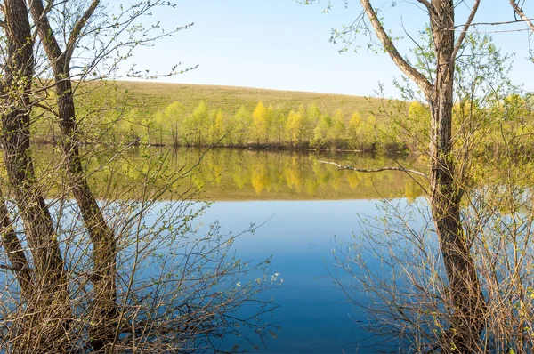 bahar Gölü. Su birikintisi bahar. Bahar park göl. bahar Gölü sahne. Bahar gölün kıyısında.