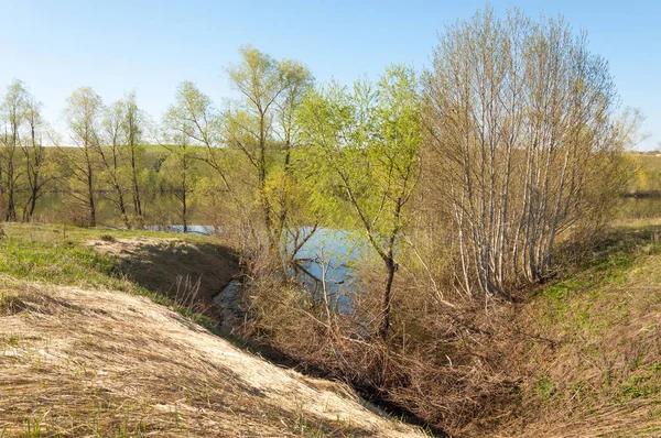 bahar Gölü. Su birikintisi bahar. Bahar park göl. bahar Gölü sahne. Bahar gölün kıyısında.