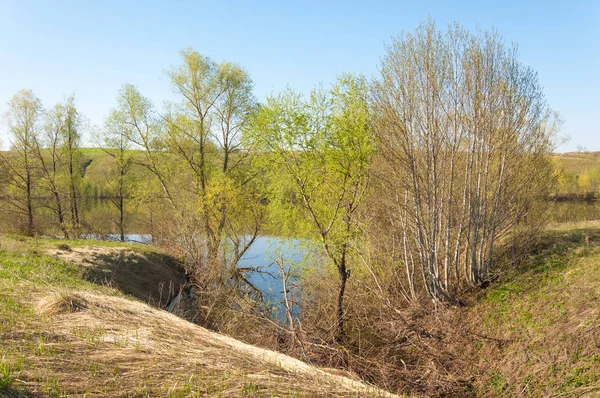 Quellsee Teichquelle See Quellpark Szene Vom Springsee Das Ufer Des — Stockfoto