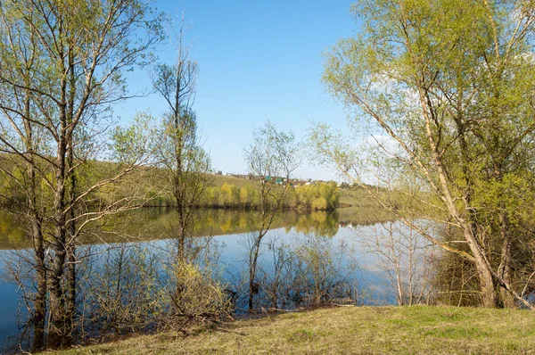 Wiosna Nad Jeziorem Staw Wiosna Jezioro Parku Wiosny Wiosna Nad — Zdjęcie stockowe