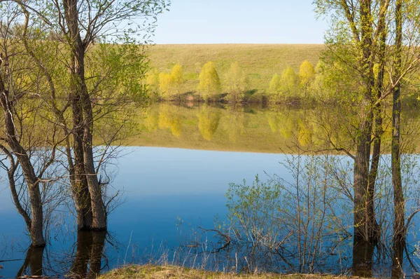 bahar Gölü. Su birikintisi bahar. Bahar park göl. bahar Gölü sahne. Bahar gölün kıyısında.