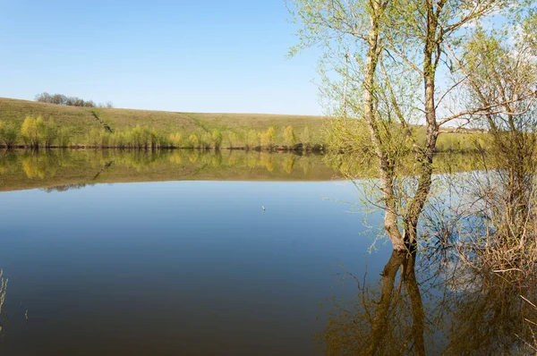 bahar Gölü. Su birikintisi bahar. Bahar park göl. bahar Gölü sahne. Bahar gölün kıyısında.