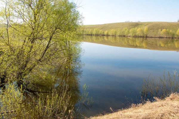 Våren Sjön Dammen Våren Sjön Parken Våren Våren Lake Scen — Stockfoto