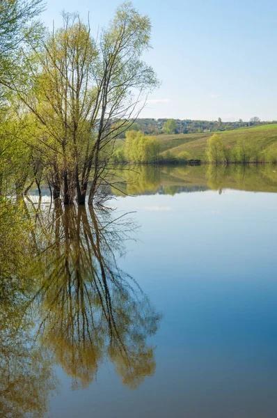 bahar Gölü. Su birikintisi bahar. Bahar park göl. bahar Gölü sahne. Bahar gölün kıyısında.