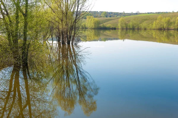 bahar Gölü. Su birikintisi bahar. Bahar park göl. bahar Gölü sahne. Bahar gölün kıyısında.