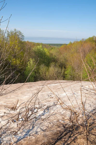 Son kar, yeşil ağaçlar. Bir orman hillside bahar yeşil kar son parça. Yeşil bahar kayın ormanı tepe üzerinde son karda. Nisan hava.