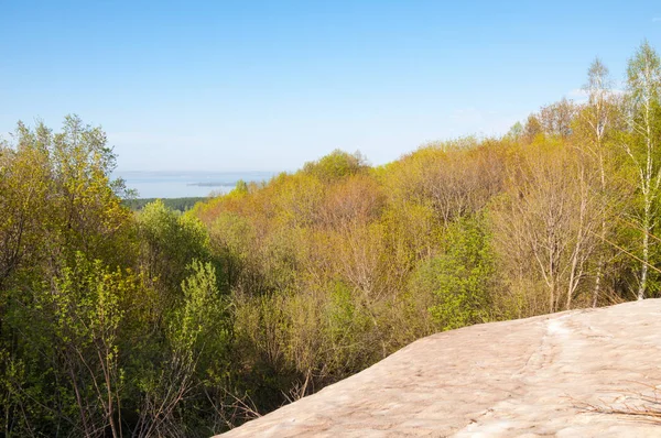 Son kar, yeşil ağaçlar. Bir orman hillside bahar yeşil kar son parça. Yeşil bahar kayın ormanı tepe üzerinde son karda. Nisan hava.