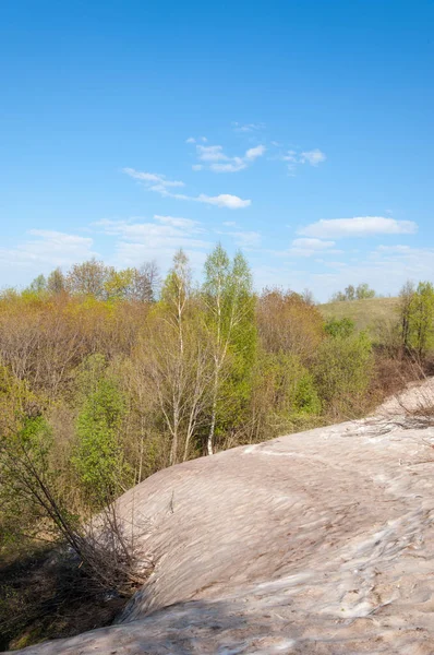 Son kar, yeşil ağaçlar. Bir orman hillside bahar yeşil kar son parça. Yeşil bahar kayın ormanı tepe üzerinde son karda. Nisan hava.
