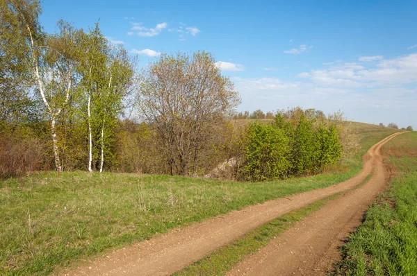 Road Country Spring Day Country Road Forest Spring Day Country — Stock Photo, Image