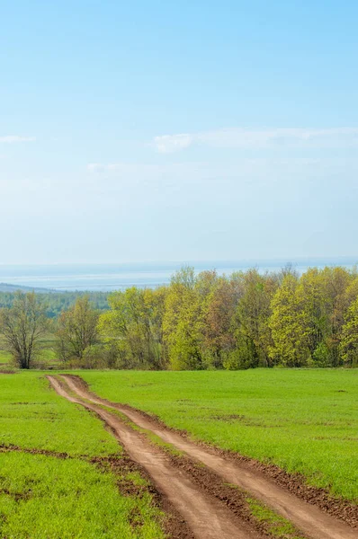 Bahar günü ülkede yol. Köy yolunda bahar günü ormanında. Köy yolunda yaz, yeşil alan ve mavi temiz gökyüzü arasında. Doğa kavramsal görüntü.