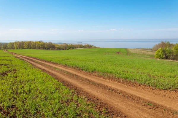 Road COUNTRY in spring day. Country road to the forest in spring day. Country road between green field at summer and blue clean sky. Nature conceptual image.