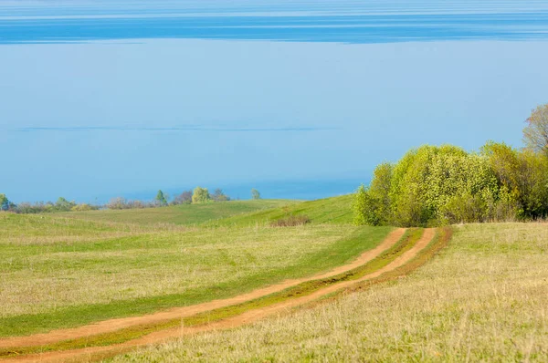 Bahar günü ülkede yol. Köy yolunda bahar günü ormanında. Köy yolunda yaz, yeşil alan ve mavi temiz gökyüzü arasında. Doğa kavramsal görüntü.