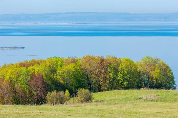 Bahar, büyük bir nehir, renkli ağaçlar. Nehir kenarında yumuşak sabah şafak ışığı içinde filizlenen büyük ağaç. Sakin nehir düşük dağlara akan