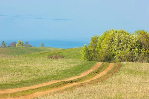 Bahar günü ülkede yol. Köy yolunda bahar günü ormanında. Köy yolunda yaz, yeşil alan ve mavi temiz gökyüzü arasında. Doğa kavramsal görüntü.