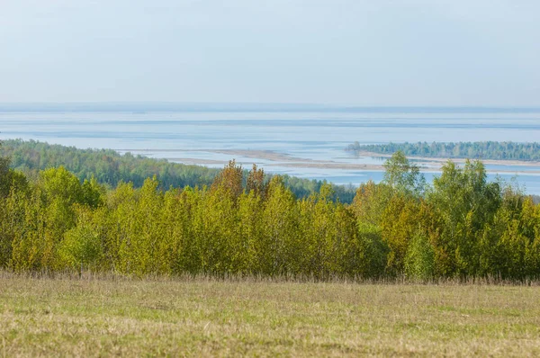 Bahar, büyük bir nehir, renkli ağaçlar. Nehir kenarında yumuşak sabah şafak ışığı içinde filizlenen büyük ağaç. Sakin nehir düşük dağlara akan