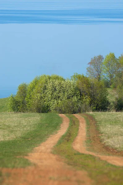 Bahar günü ülkede yol. Köy yolunda bahar günü ormanında. Köy yolunda yaz, yeşil alan ve mavi temiz gökyüzü arasında. Doğa kavramsal görüntü.