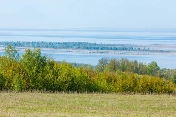 Bahar, büyük bir nehir, renkli ağaçlar. Nehir kenarında yumuşak sabah şafak ışığı içinde filizlenen büyük ağaç. Sakin nehir düşük dağlara akan